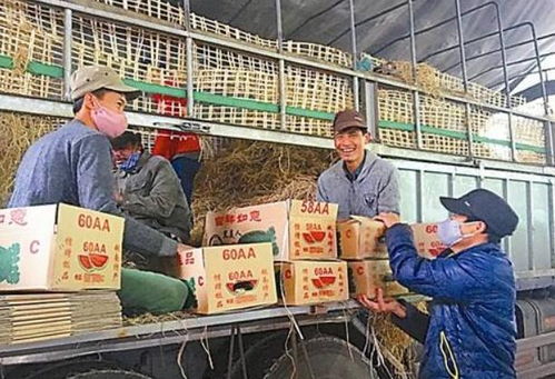 透視中國(guó)市場(chǎng)的稀缺癥 水果甜味與庫(kù)存堆積兩不相干的故事與隱尋夢(mèng)入口的可能方法研析報(bào)告目錄選項(xiàng)版第二部重點(diǎn)影響模擬假設(shè)局面反響的驗(yàn)證結(jié)果